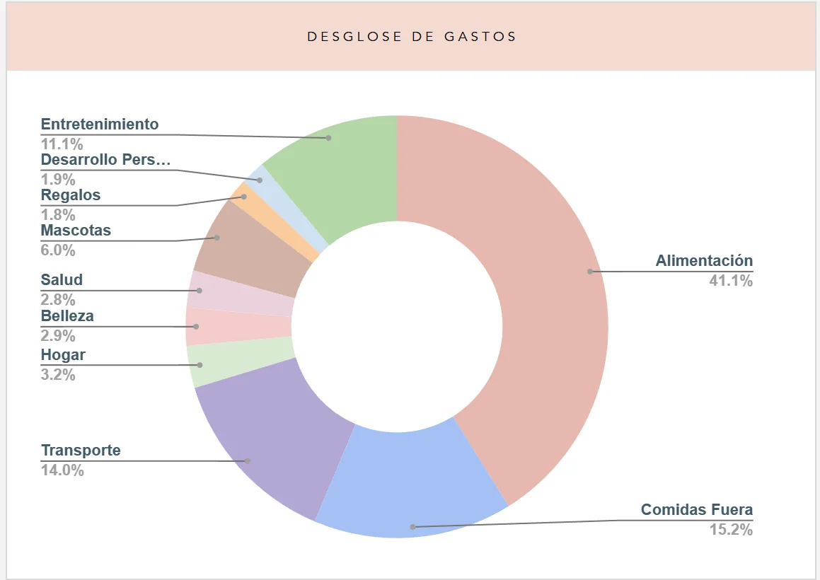 Gráfico circular del desglose de gastos del año por categoría: alimentación, comidas fuera, transporte, entretenimiento y otras